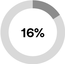 piechart_16%.jpg